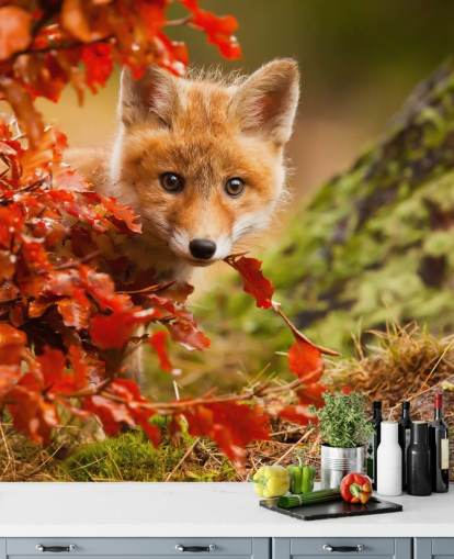 Fox Cub im Herbstlaub bemalte Tapete Fox Cub im Herbstlaub bemalte Tapete
