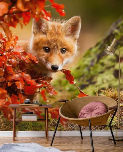 Carta da parati con cuccioli di volpe in autunno Carta da parati con cuccioli di volpe in autunno