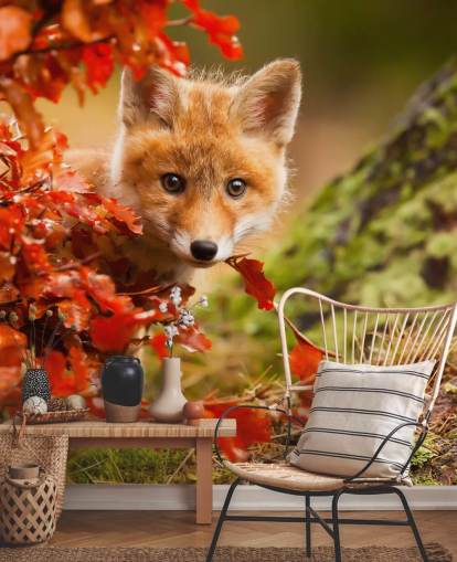 Fox Cub in Autumn Leaves Wallpaper