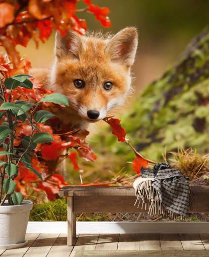 Fond d'écran Fox Cub dans les feuilles d'automne Fond d'écran Fox Cub dans les feuilles d'automne