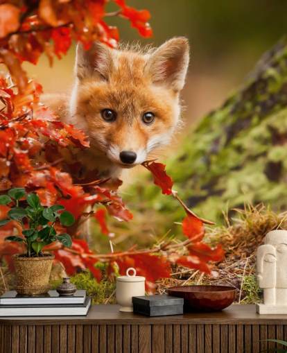 Fox Cub in Autumn Leaves Wallpaper Fox Cub in Autumn Leaves Wallpaper