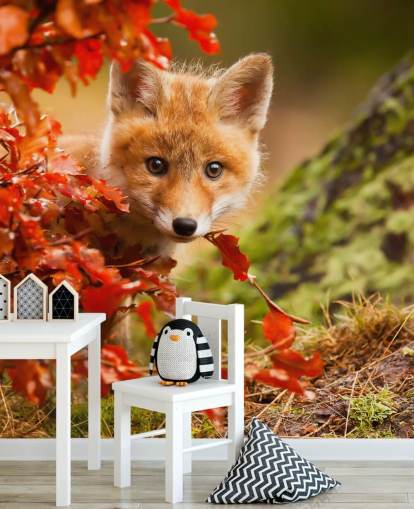 Papel de Parede Fox Cub in Autumn Leaves Papel de Parede Fox Cub in Autumn Leaves