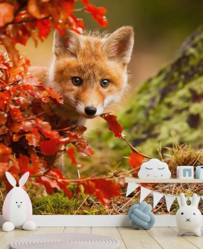 Fox Cub in Autumn Leaves Wallpaper Fox Cub in Autumn Leaves Wallpaper