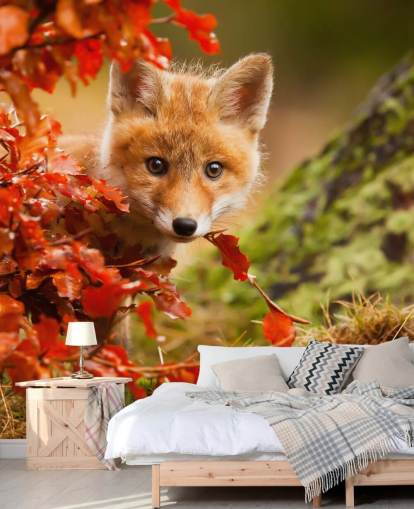 Fox Cub im Herbstlaub bemalte Tapete