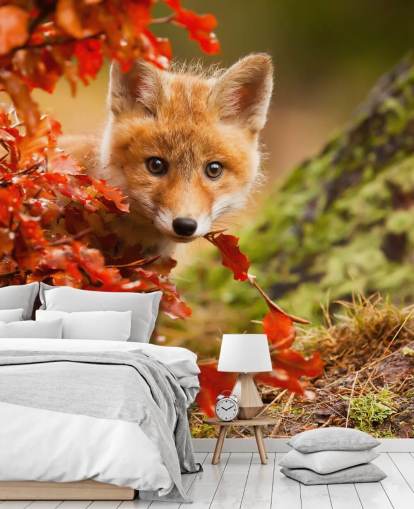 Carta da parati con cuccioli di volpe in autunno Carta da parati con cuccioli di volpe in autunno