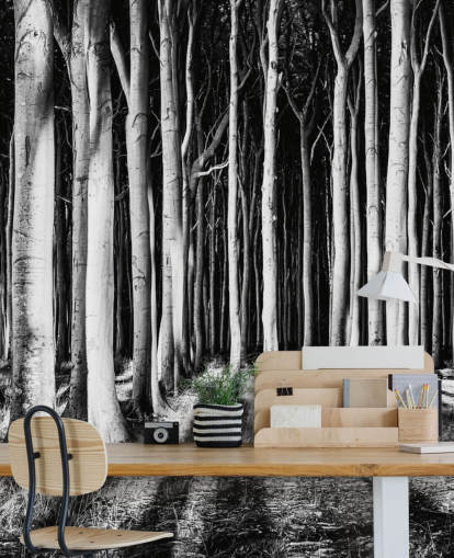 Papier Peint Arbre Papier Peint Arbre