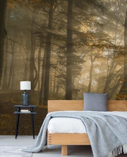 Forest Light Wall Mural Wallpaper