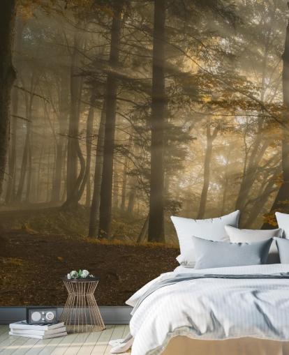 Forest Light Muurschildering Behang