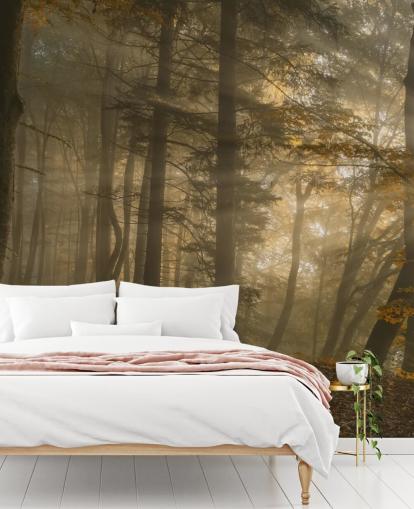 Forest Light Wall Mural Wallpaper