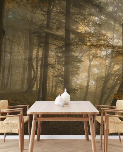 Forest Light Wall Mural Wallpaper