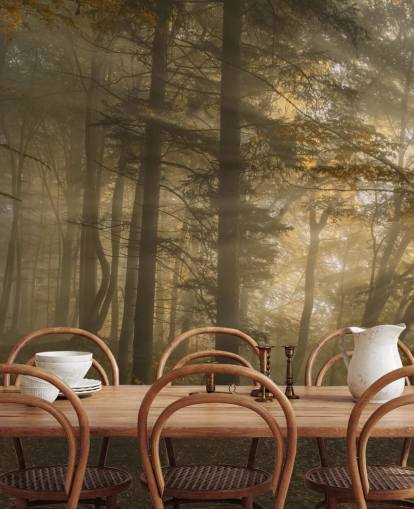Forest Light Muurschildering Behang