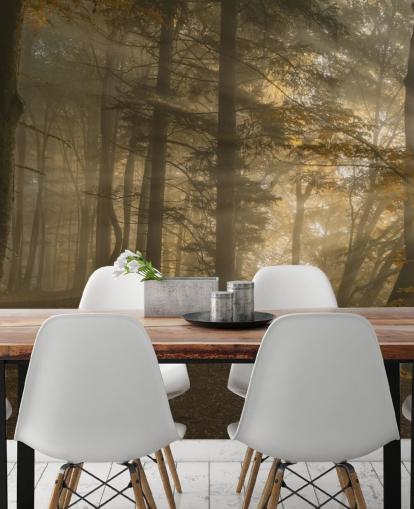 Forest Light Wall Mural Wallpaper