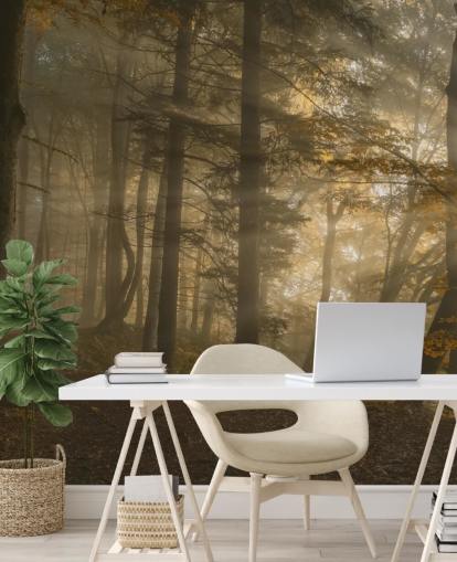 Forest Light Wall Mural Wallpaper