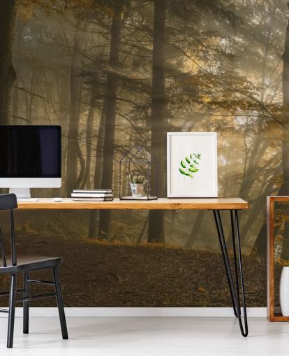 Carta da parati murale con luce della foresta