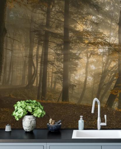 Papier Peint Fresque Forêt