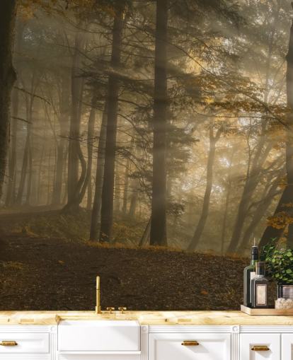 Forest Light Wall Mural Wallpaper Forest Light Wall Mural Wallpaper