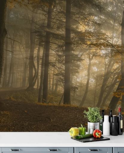 Carta da parati murale con luce della foresta