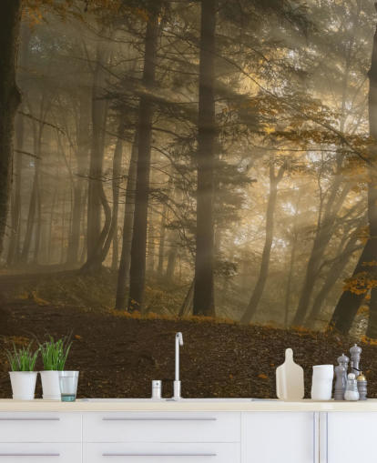 Waldlicht Fototapete