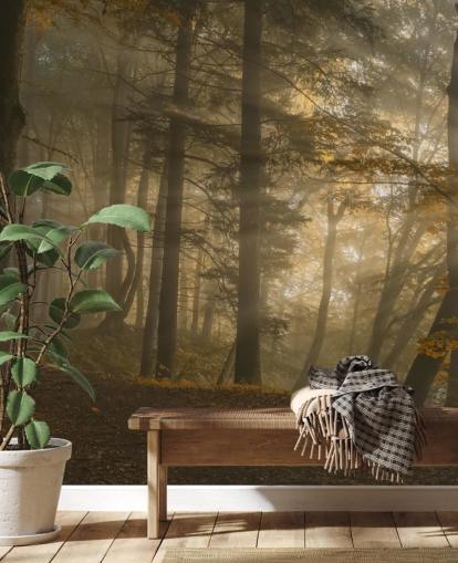 Forest Light Wall Mural Wallpaper Forest Light Wall Mural Wallpaper