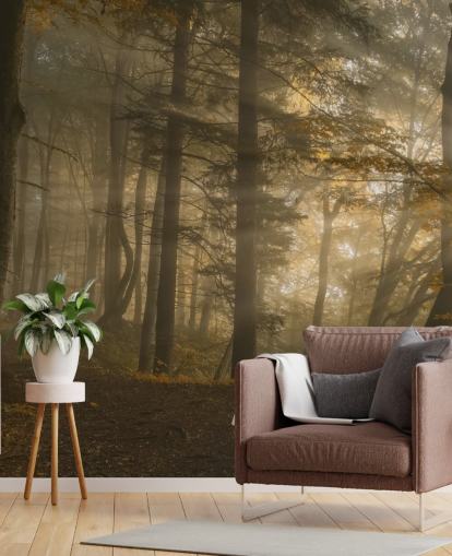 Carta da parati murale con luce della foresta