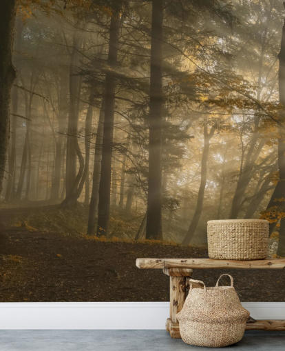 Waldlicht Fototapete