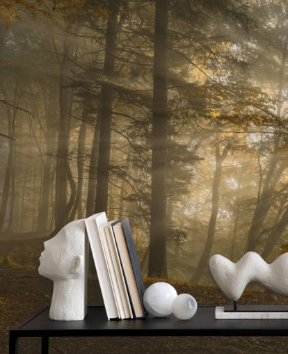 Forest Light Wall Mural Wallpaper