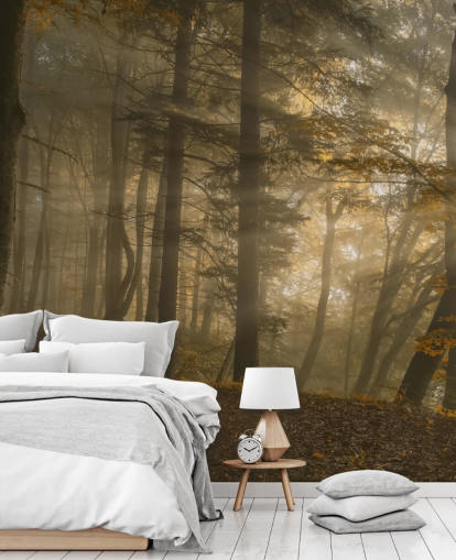 Forest Light Wall Mural Wallpaper Forest Light Wall Mural Wallpaper