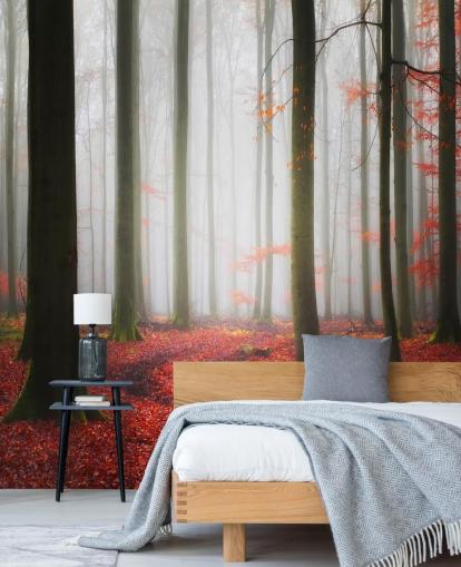 autumn forest wallpaper autumn forest wallpaper