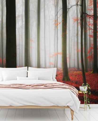 Fondos de autumn forest