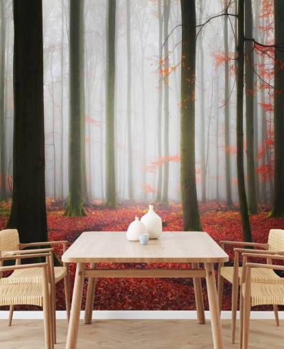 Fondos de autumn forest