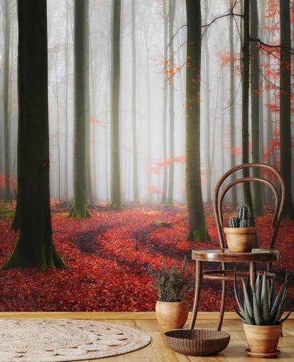 autumn forest wallpaper autumn forest wallpaper