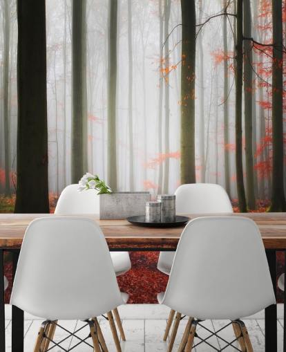 autumn forest wallpaper autumn forest wallpaper