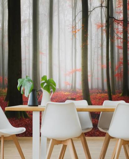 papel de parede floresta outono