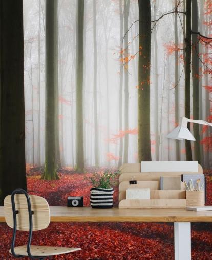 herfst bos behang herfst bos behang