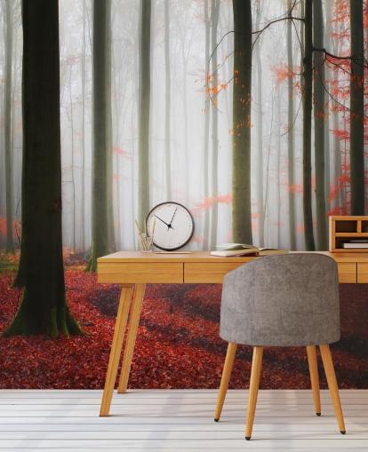 carta da parati autunno foresta