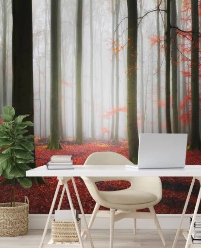 autumn forest wallpaper autumn forest wallpaper