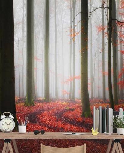 papier peint forêt d'automne