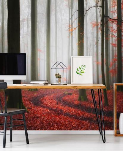 autumn forest wallpaper