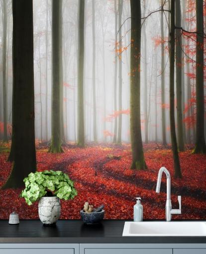 papel de parede floresta outono