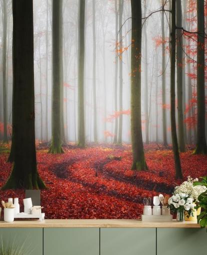 papel de parede floresta outono papel de parede floresta outono