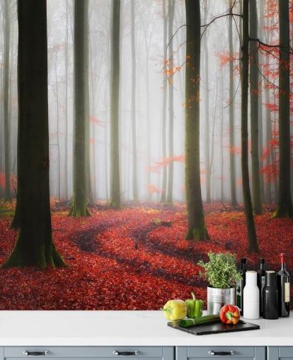 autumn forest wallpaper