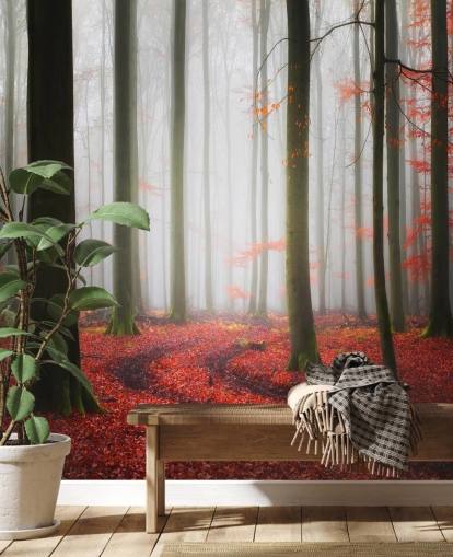 autumn forest wallpaper