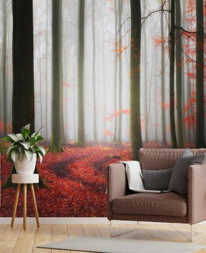 autumn forest wallpaper