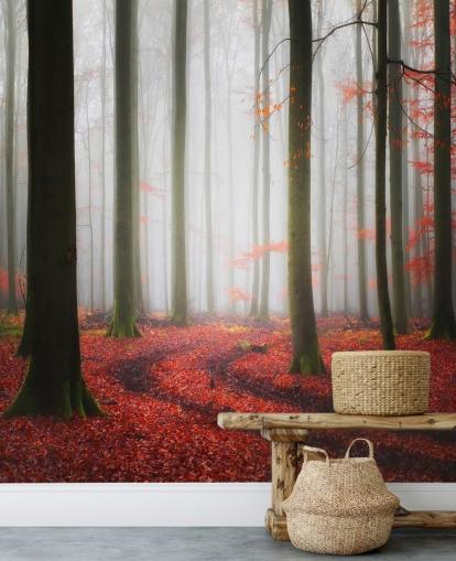 autumn forest wallpaper autumn forest wallpaper