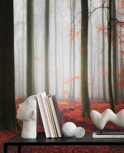 papier peint forêt d'automne