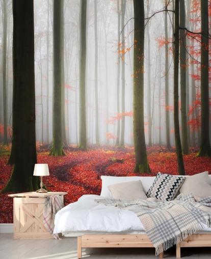 autumn forest wallpaper autumn forest wallpaper