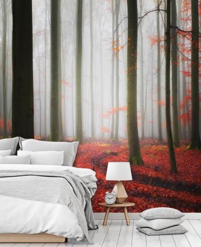 Herbst Wald-Tapete Herbst Wald-Tapete