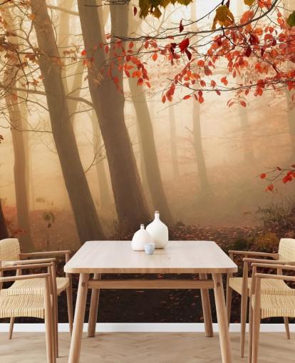 Towards the Light Wall Mural Wallpaper