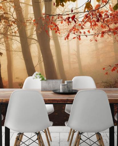 Towards the Light Wall Mural Wallpaper