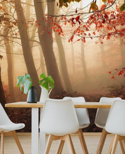 Towards the Light Wall Mural Wallpaper